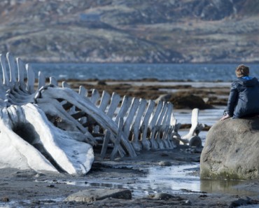 Leviathan - Best Foreign Language Film